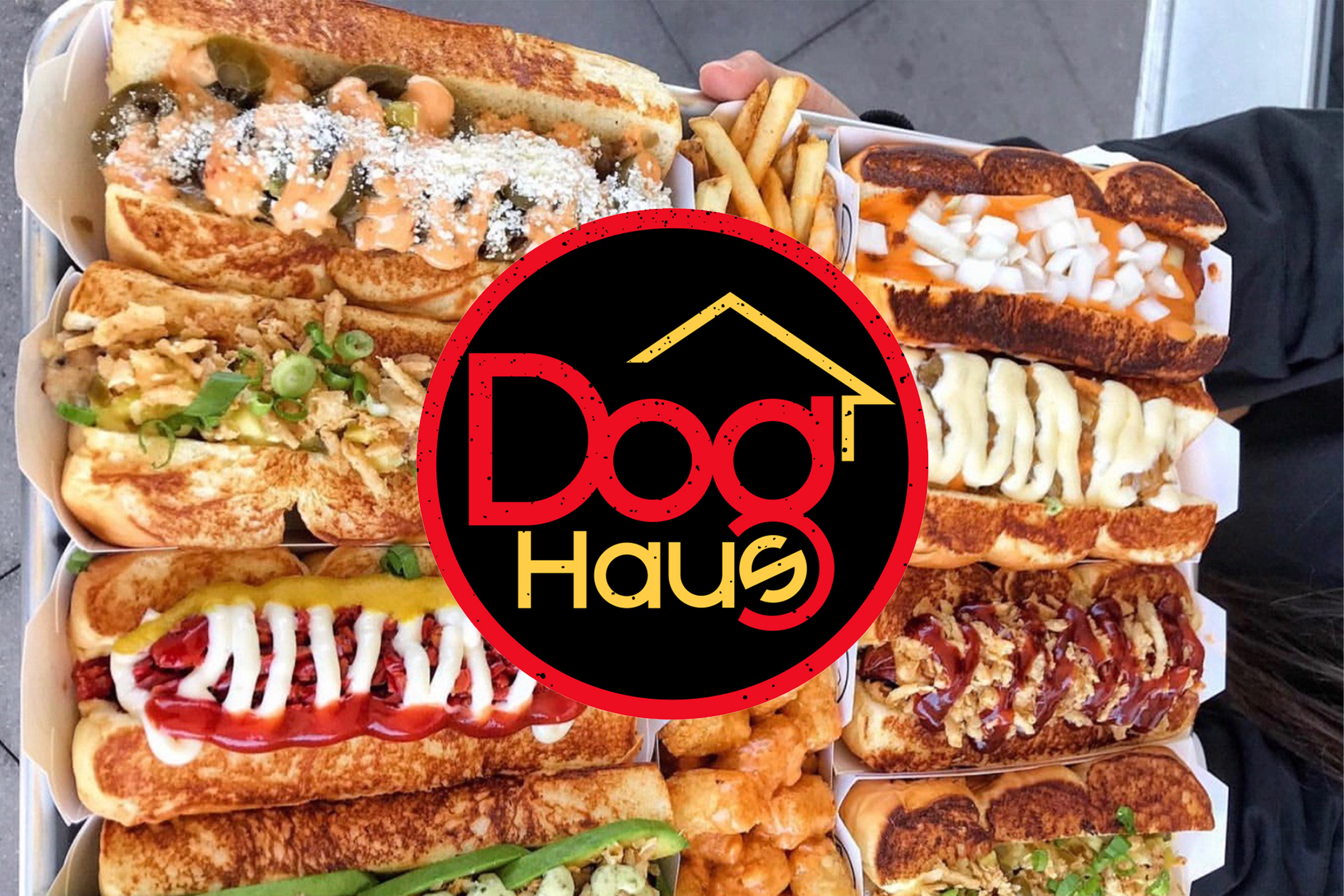 featured-customer-dog-haus-focus-restaurant-bar-management-apps